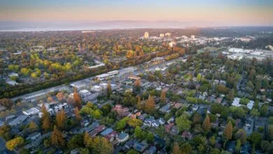 Discover the Future in Palo Alto