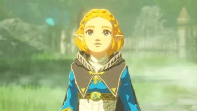 Hyrule Warriors: Age of Imprisonment Performance & Graphics Breakdown