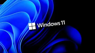 Windows 11 Store Adds Ninite-Style Bulk App Installer