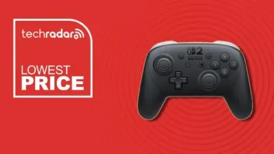 Nintendo's Best Pro Controller Hits Record Low for Black Friday