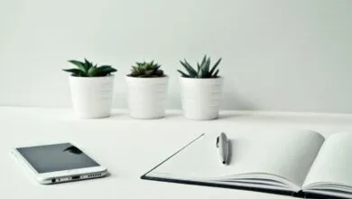 Get Microsoft Office Apps for Under $7 Each