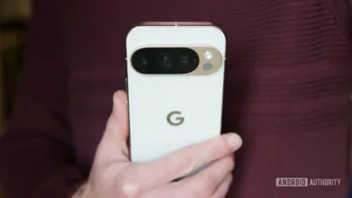 Google's Surprise October Update for Pixel Users