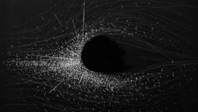 Journey Through Black Hole-Inspired Art