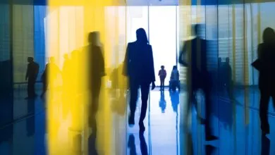 Your Most Valuable Career Asset Isn't Technical Skill