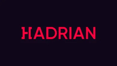 Hadrian's AI Hunts Security Flaws Before Hackers Can