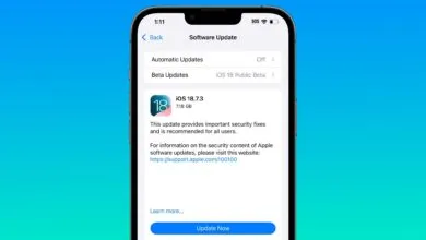 Screenshot of iOS 18.7.3 software update screen on an iPhone.
