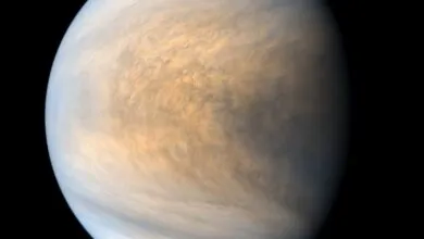 NASA's Science Budget Avoids Drastic Cuts