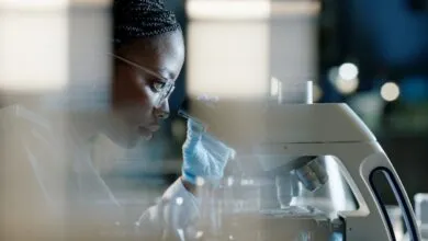Converge Bio Secures $25M From Bessemer, Meta, OpenAI, Wiz Execs