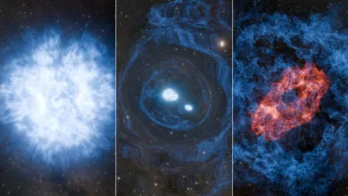 7 Cool Science Stories You Might Have Missed