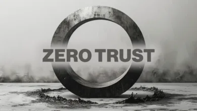 NSA's Zero Trust Adoption: First Steps Unveiled
