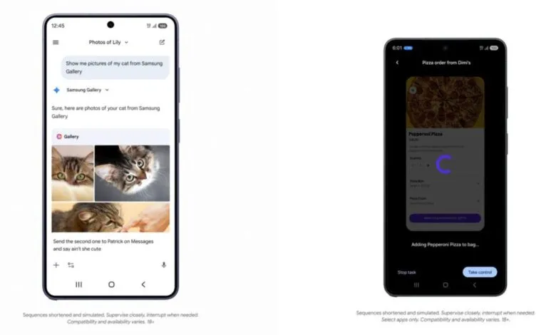 Two smartphones displaying app interactions: cat photos and pizza order.