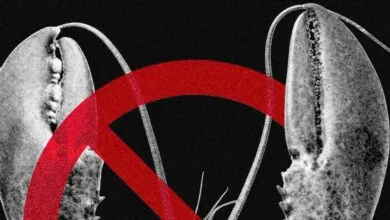 Tech Giants Ban OpenClaw Amid Security Threats