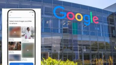 Google Tool Helps Users Remove Personal Data for Safety