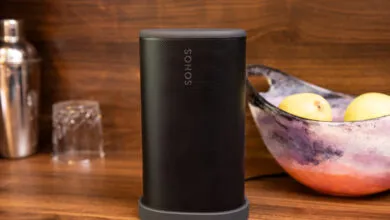 Sonos Play speaker on a wooden surface with a bowl of fruit.
