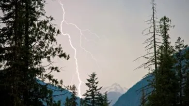 How a Startup Plans to Stop Lightning, and OpenAI's Pentagon Deal