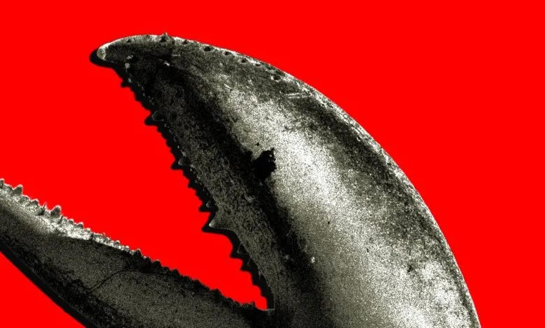 Close-up of a lobster claw against a vibrant red background.