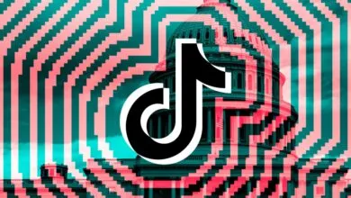 Trump Admin Reportedly Set to Collect $10 Billion in TikTok Deal