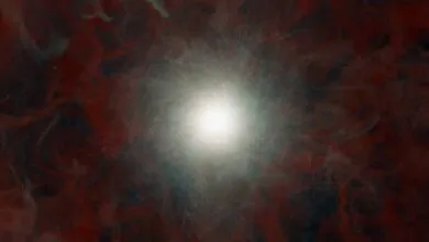 6 Overlooked Science Stories You Need to See