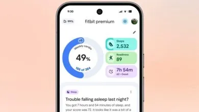 Fitbit app redesign adds food and water logging for free users