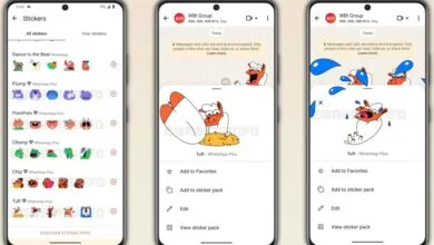 WhatsApp Tests Plus Subscription with Stickers for a Monthly Fee