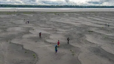 Next El Niño may push climate past tipping point