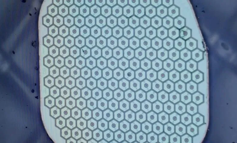 Close-up of a patterned surface with repeating hexagonal cells and central dots.