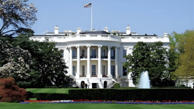 Trump’s AI Regulation Push Meets State, Congressional Resistance