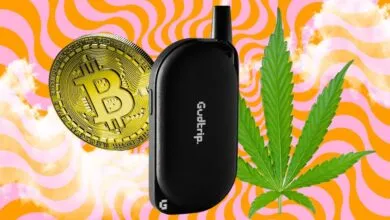 I Searched for the AI Weed Vape That Pays You Bitcoin