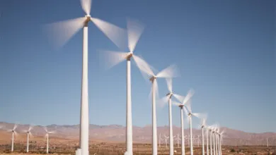 Trump administration blocks 165 wind farms citing national security