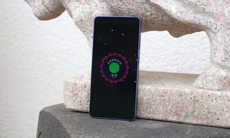 Smartphone displaying Android 17 logo against stone statue.