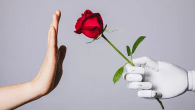 Human hand rejects a red rose offered by a white robotic hand.