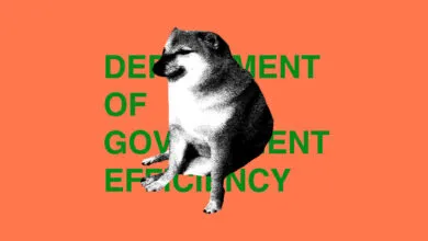 Judge rules DOGE's ChatGPT use was both dumb and illegal