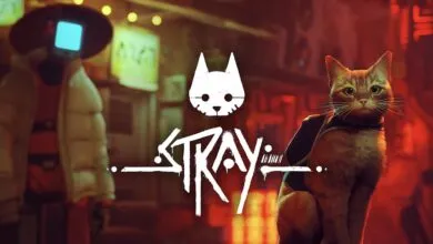 Stray Nintendo Switch 2 trailer reveals 4K, 60fps, and mouse controls