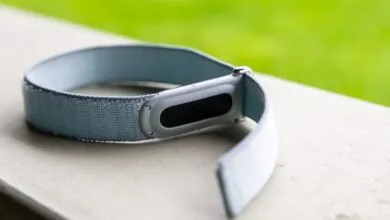 Fitbit Air review: near-perfect fitness tracker, flawed AI coach