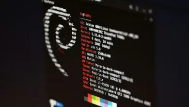Debian Linux system information displayed on a computer screen.