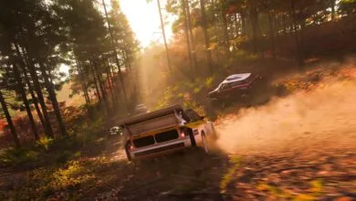 Forza Horizon 6 Dev Issues Bans to Pirates After Leak