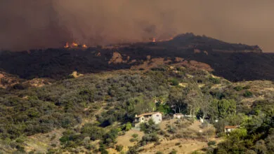 ChatGPT Logs Used as Evidence in Palisades Fire Trial