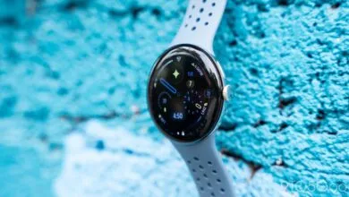 Pixel Watch 5 found in ocean, police investigate