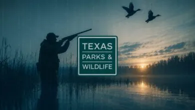 Texas data breach leaks 3M+ driver’s licenses