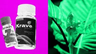 DEA Moves to Ban Opioid-Like Kratom Compound 7-OH
