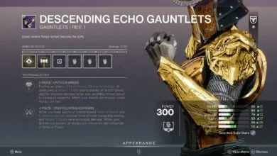 Destiny 2 Permanently Disabling Unpatchable Gear