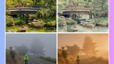 Adobe’s new camera app uses generative AI for natural looks
