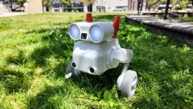This $800 Robot Dog Camera Brings Joy