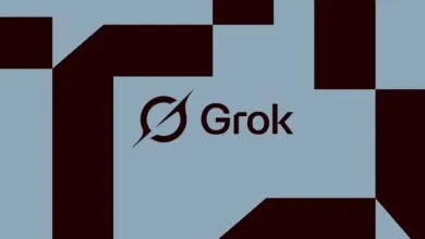 SpaceXAI's Grok tool uploaded users' entire codebases to cloud