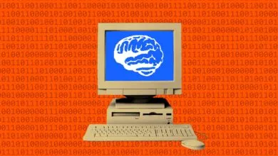 AI Leaders Urge Government to Regulate Automated AI