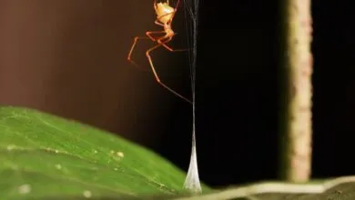 June Research Roundup: 6 Science Stories You Missed
