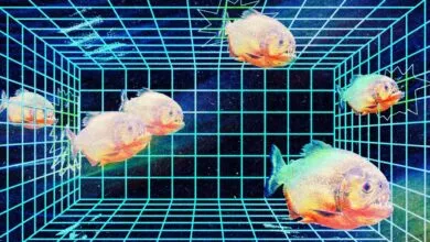 OpenAI’s Hugging Face Attack Claim: Unprecedented or Familiar?