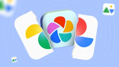 My Top Pick for a Google Photos Alternative