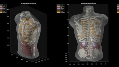 Inside Midjourney’s Medical Scanner: A Mystery Remains