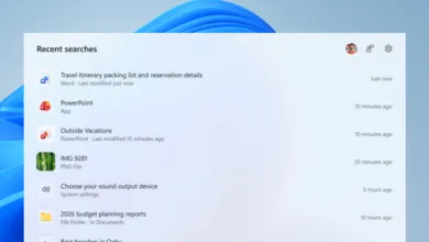 Microsoft tests ad-free, streamlined Windows Search